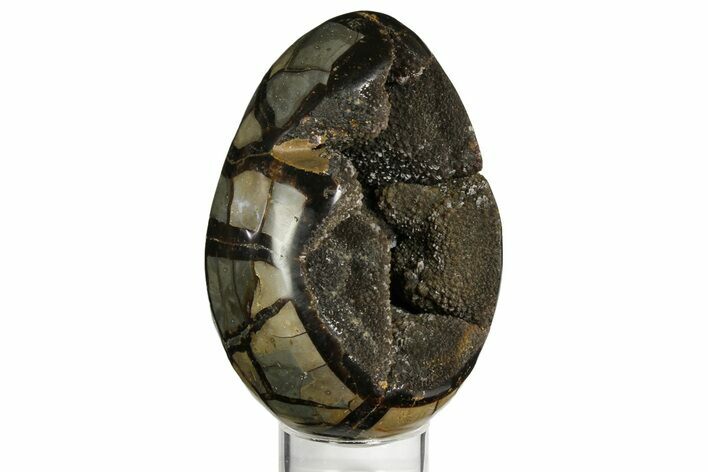 Septarian Dragon Egg Geode - Black Crystals #157869